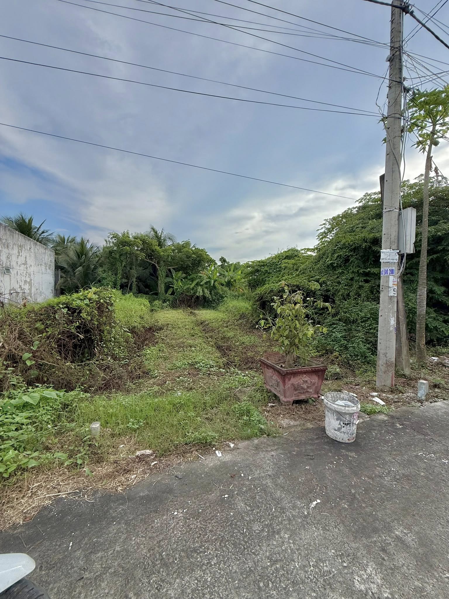 dat-nen-my-phong-dep-gia-tot-sinh-loi-cao-88m2