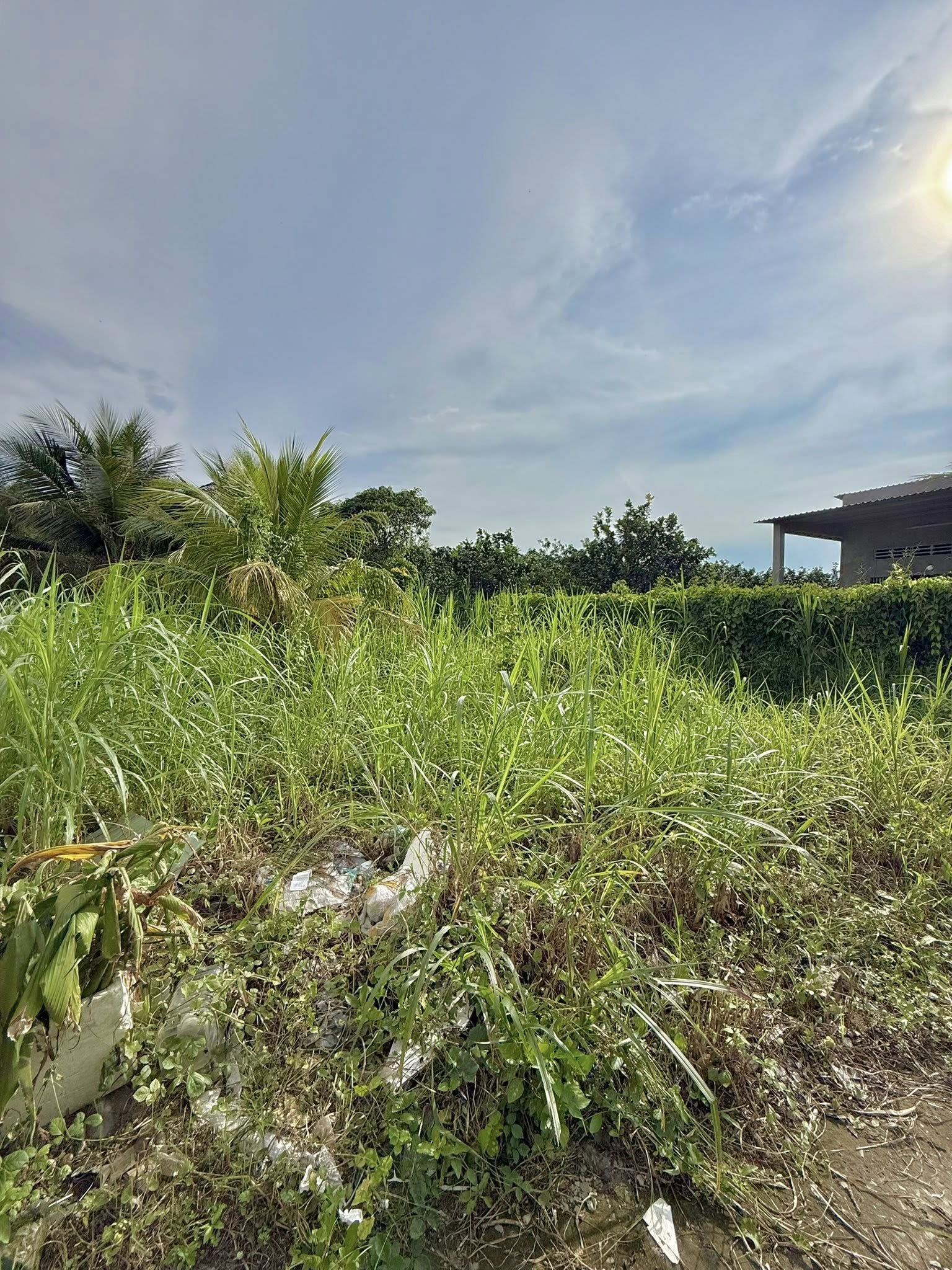 dat-nen-my-phong-gia-mem-90m2