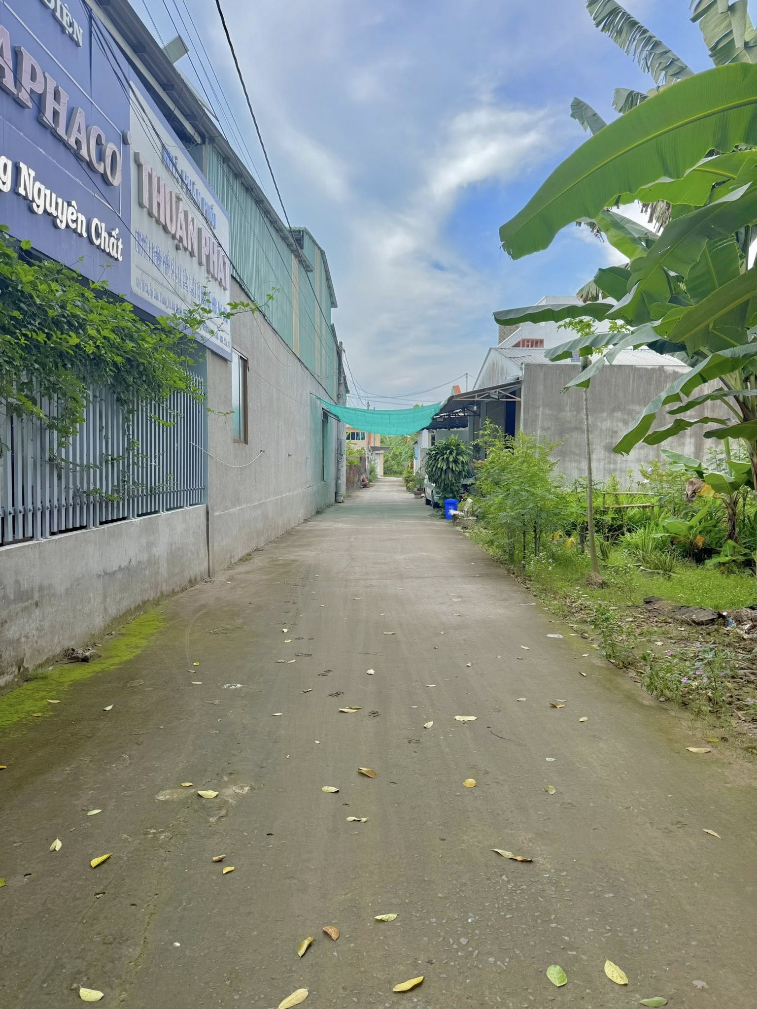 dat-nen-my-phong-tho-cu-san-100m2