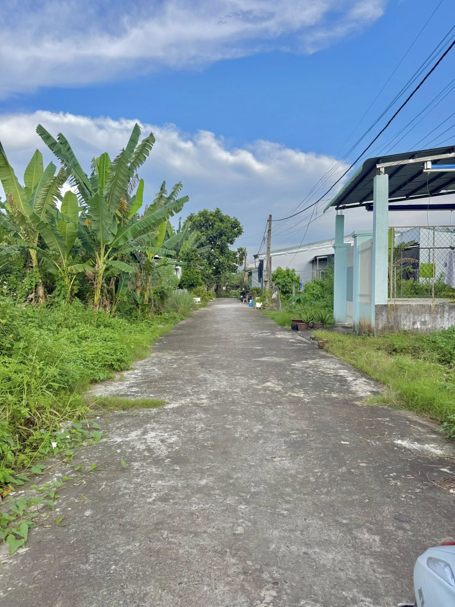 dat-nen-my-phong-dep-gia-tot-sinh-loi-cao-88m2