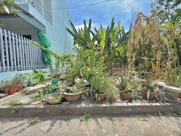 Bán Đất Nền Mỹ Phong 5x15m Gần Cơ Quan Cảnh Sát Điều Tra Tân Mỹ Chánh – Thổ Cư 100%, Giá Chỉ 750 Triệu