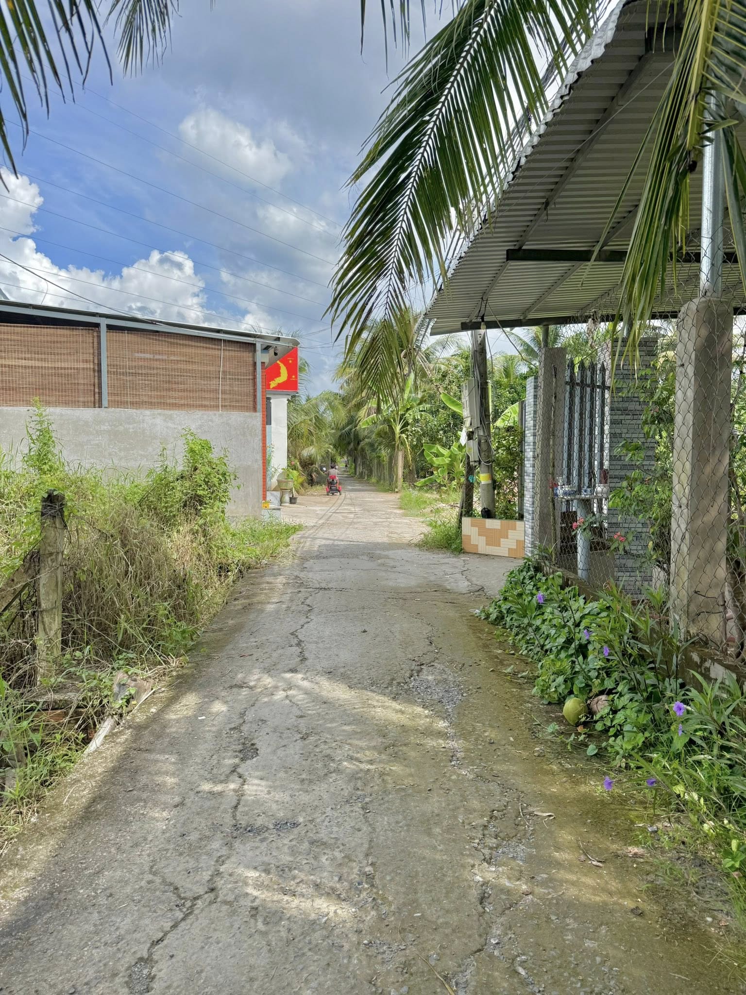 dat-nen-trung-an-dep-gan-mot-quang-750m2