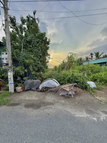 Bán Đất Nền Mỹ Phong Mặt Tiền Đường N7 — 5,2 x 60m (>300m² đất cây lâu năm), Giá Chỉ 1.200 Tỷ