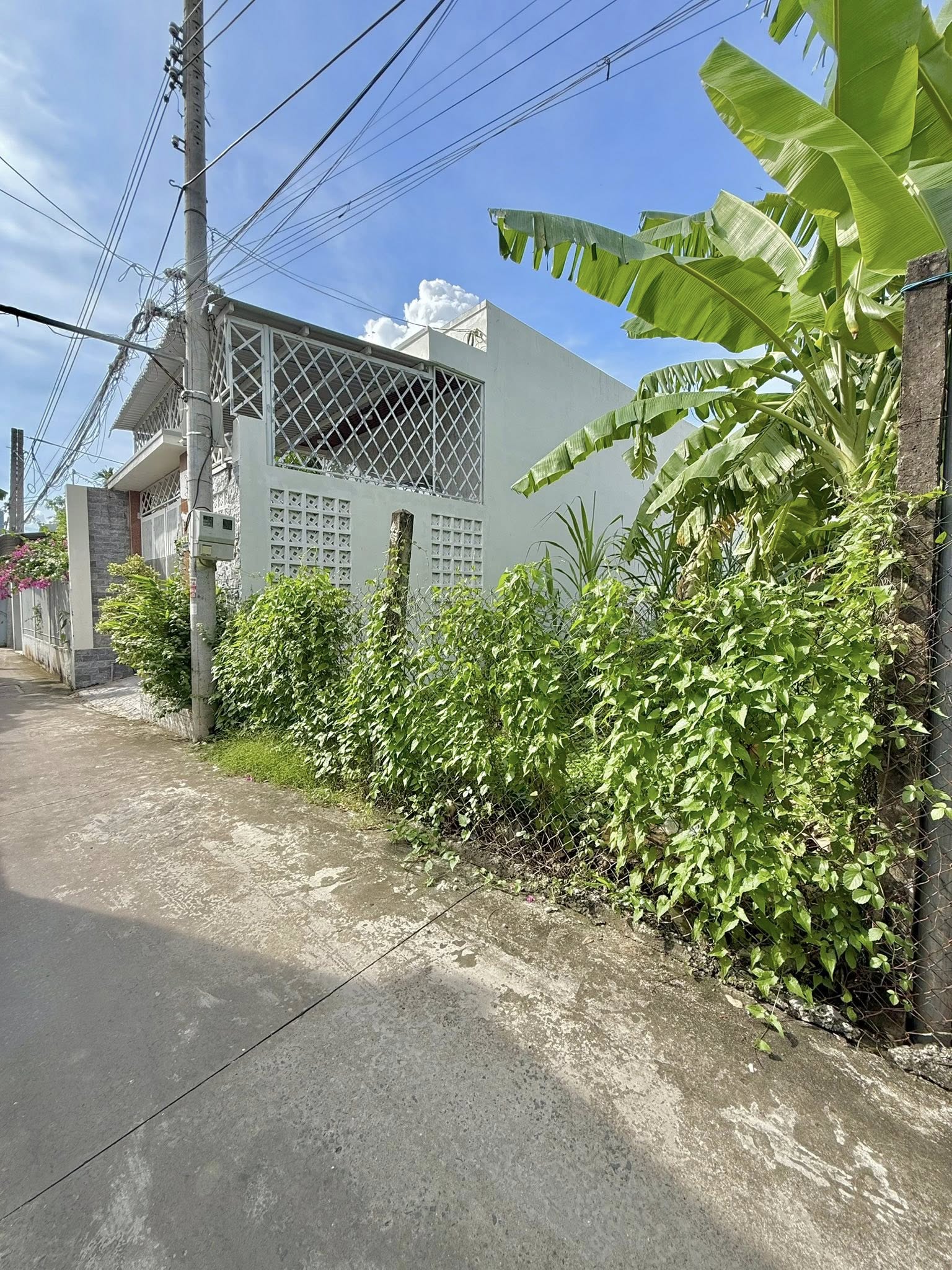 Bán Đất Nền Mỹ Phong 5x30m (100m² Thổ Cư) – Phường 5, Gần Đường Đoàn Thị Nghiệp | Giá Chỉ 1.690 Tỷ