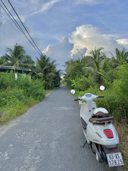 Bán Đất Nền Mỹ Phong Mặt Tiền Đường N7 — 5,2 x 60m (>300m² đất cây lâu năm), Giá Chỉ 1.200 Tỷ