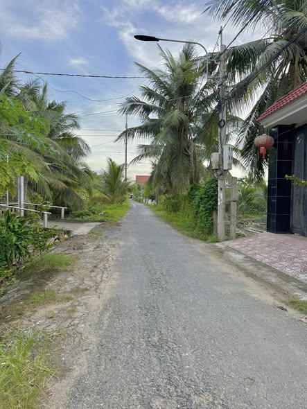 Bán Đất Nền Mỹ Phong Mặt Tiền Đường Nhựa N6 5.5x35m (187m² – 110m² Thổ Cư) Tân Tỉnh B, Tân Mỹ Chánh — Giá 1.380 Tỷ