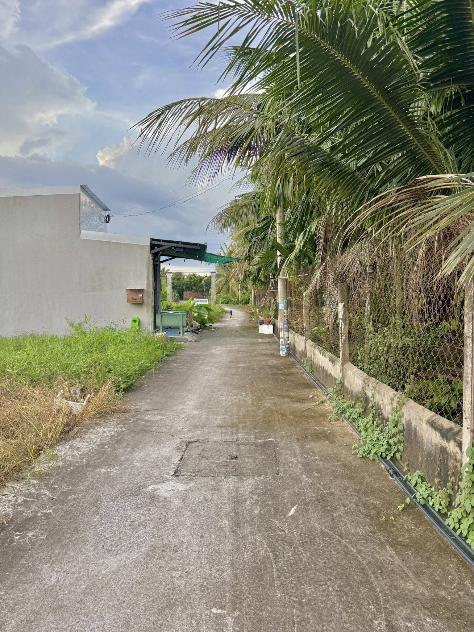 ban-2-dat-nen-my-phong-72m2-tai-tan-my-chanh-499tr