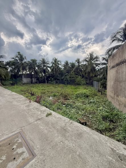 Bán 2 Đất Nền Trung An Liền Kề (Đất Vuông Vức) — Ấp 1, Xã Trung An | Giá Chỉ 790 Triệu/Nền