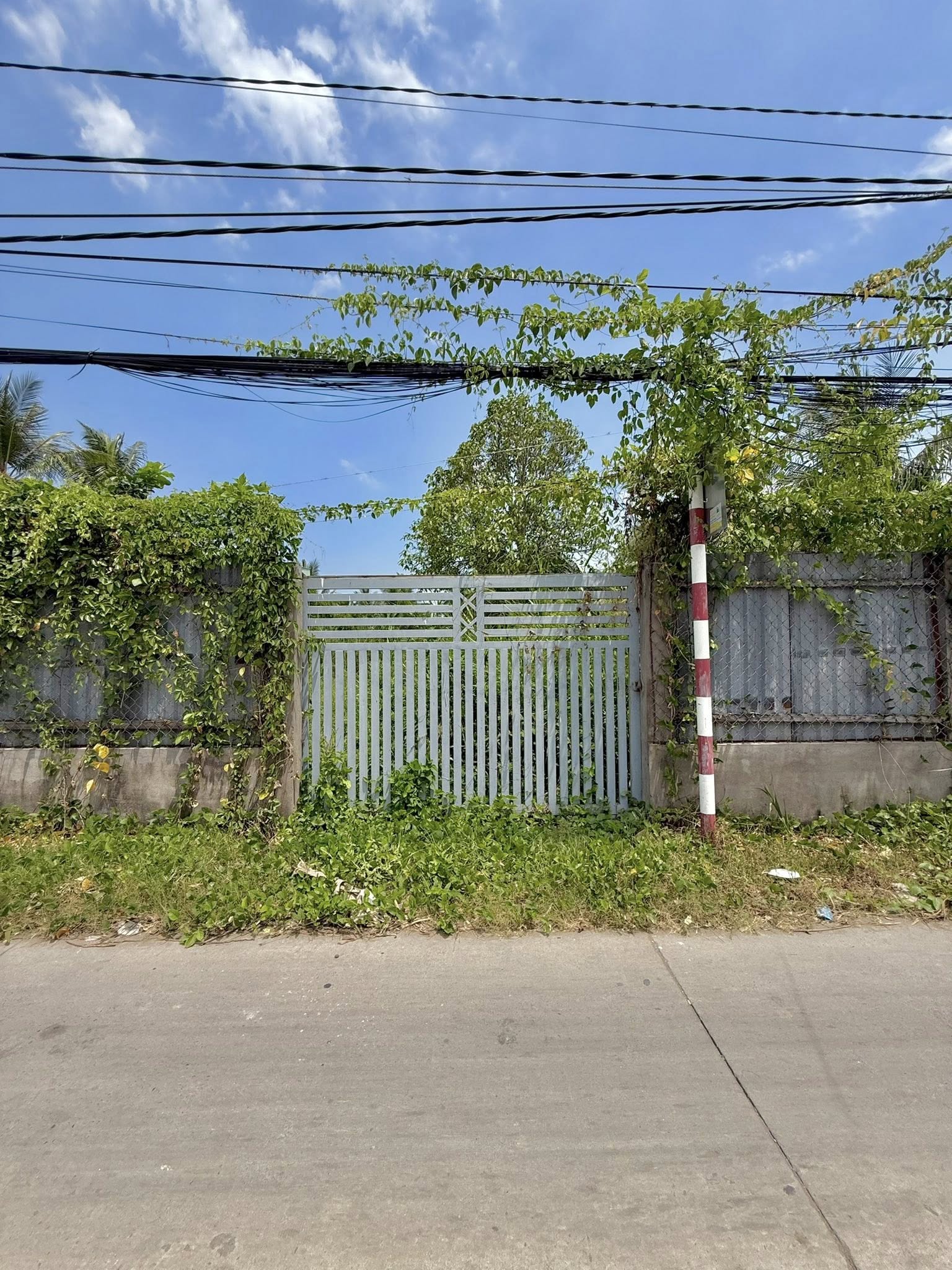 BÁN ĐẤT VƯỜN TRUNG AN DIỆN TÍCH 1.100M²