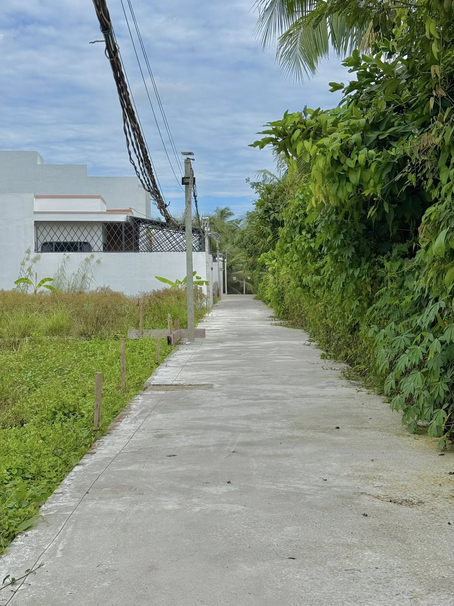 ban-2-dat-nen-dao-thanh-dep-gan-khu-tai-dinh-cu-long-hoa