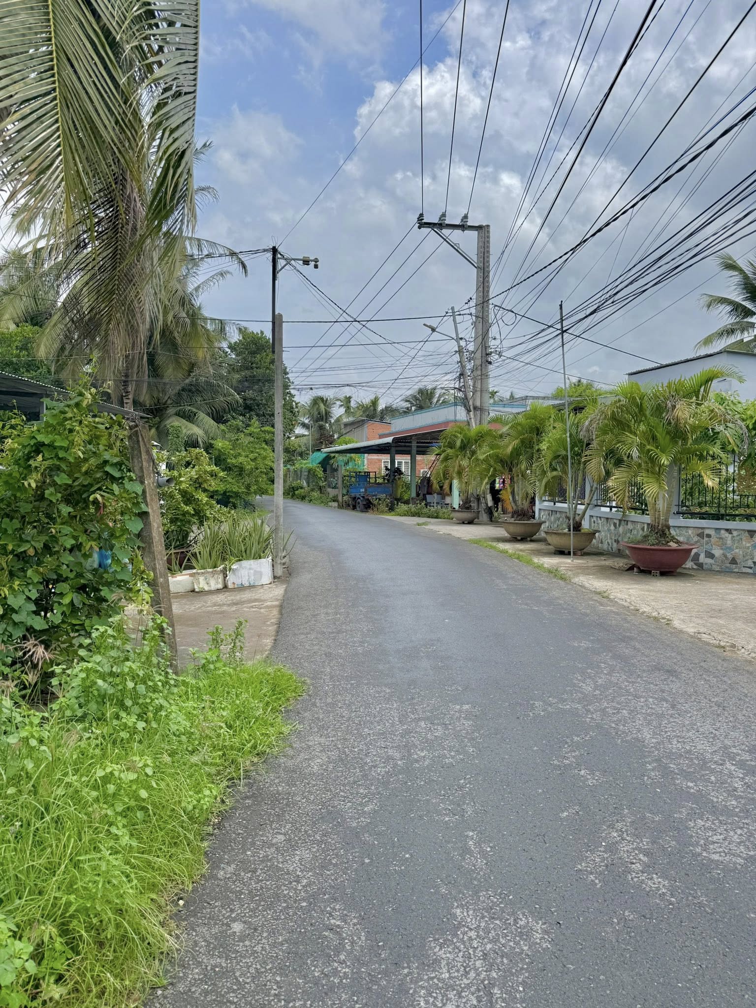 ban-dat-mat-tien-dao-thanh-duong-nhua-150m2