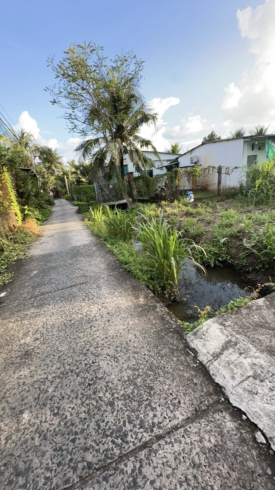 ban-dat-nen-chau-thanh-dep-gan-truong-dh-tien-giang-342m2