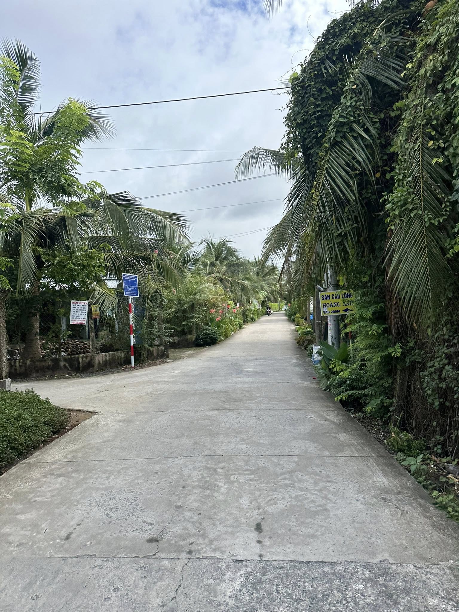 ban-dat-nen-chau-thanh-dep-gia-tot-135m2
