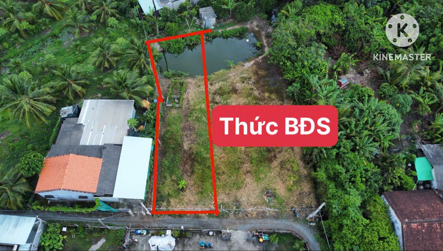 ban-dat-nen-chau-thanh-gan-cho-dem-tan-hiep-270m2