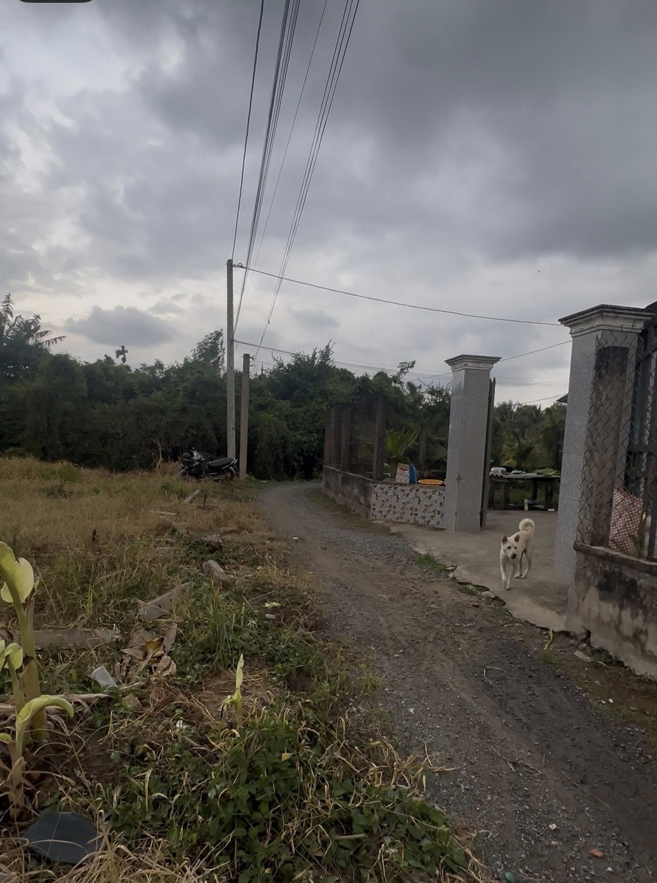 ban-dat-nen-chau-thanh-gan-cho-dem-tan-hiep-270m2
