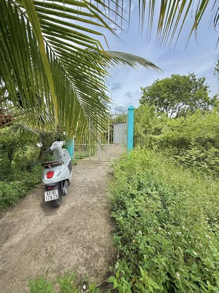 ban-dat-nen-dao-thanh-dep-gia-tot-150m2