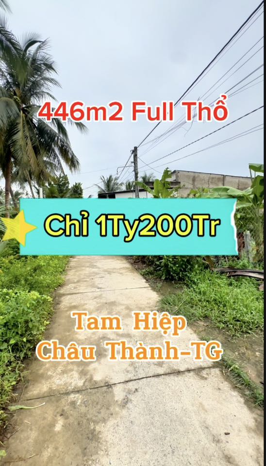 ban-dat-nen-long-hung-full-tho-cu-446m2