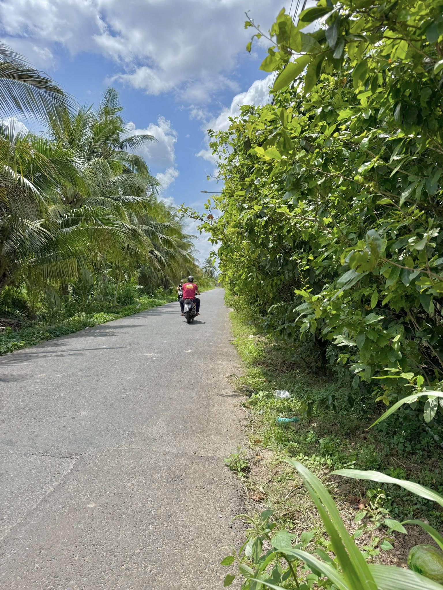 ban-dat-nen-mat-tien-duong-90c-300m2