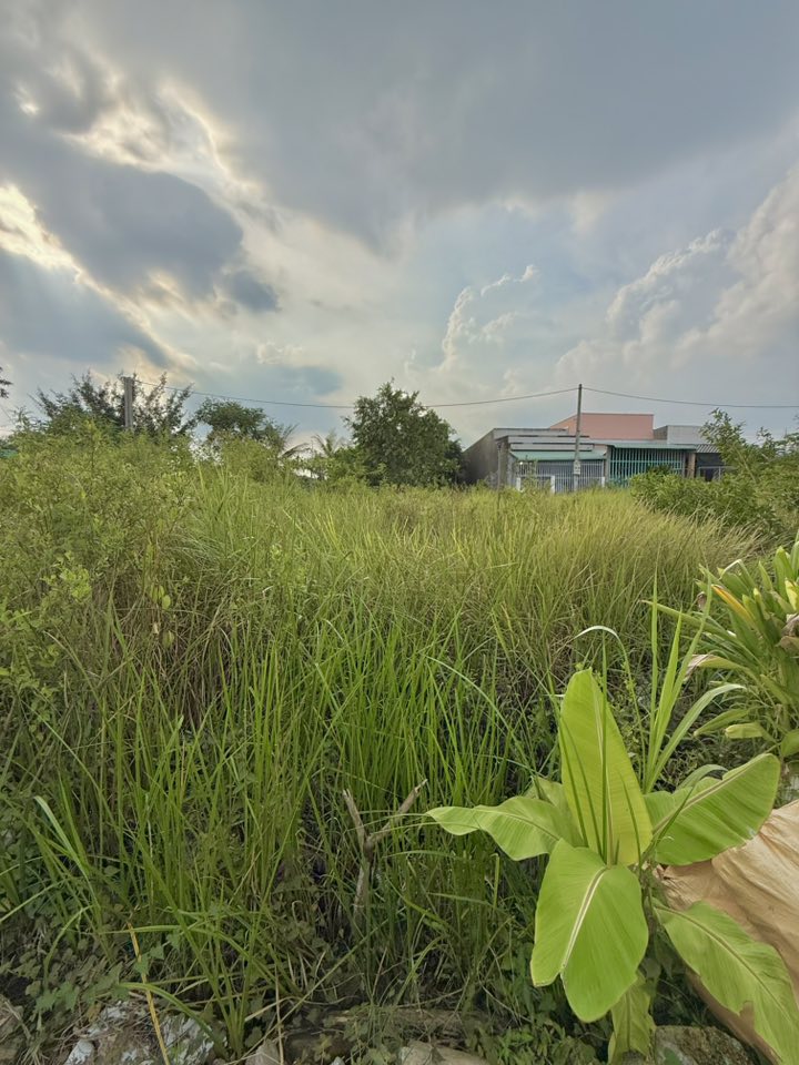 ban-dat-nen-my-phong-gan-truong-le-van-nghe-48m2