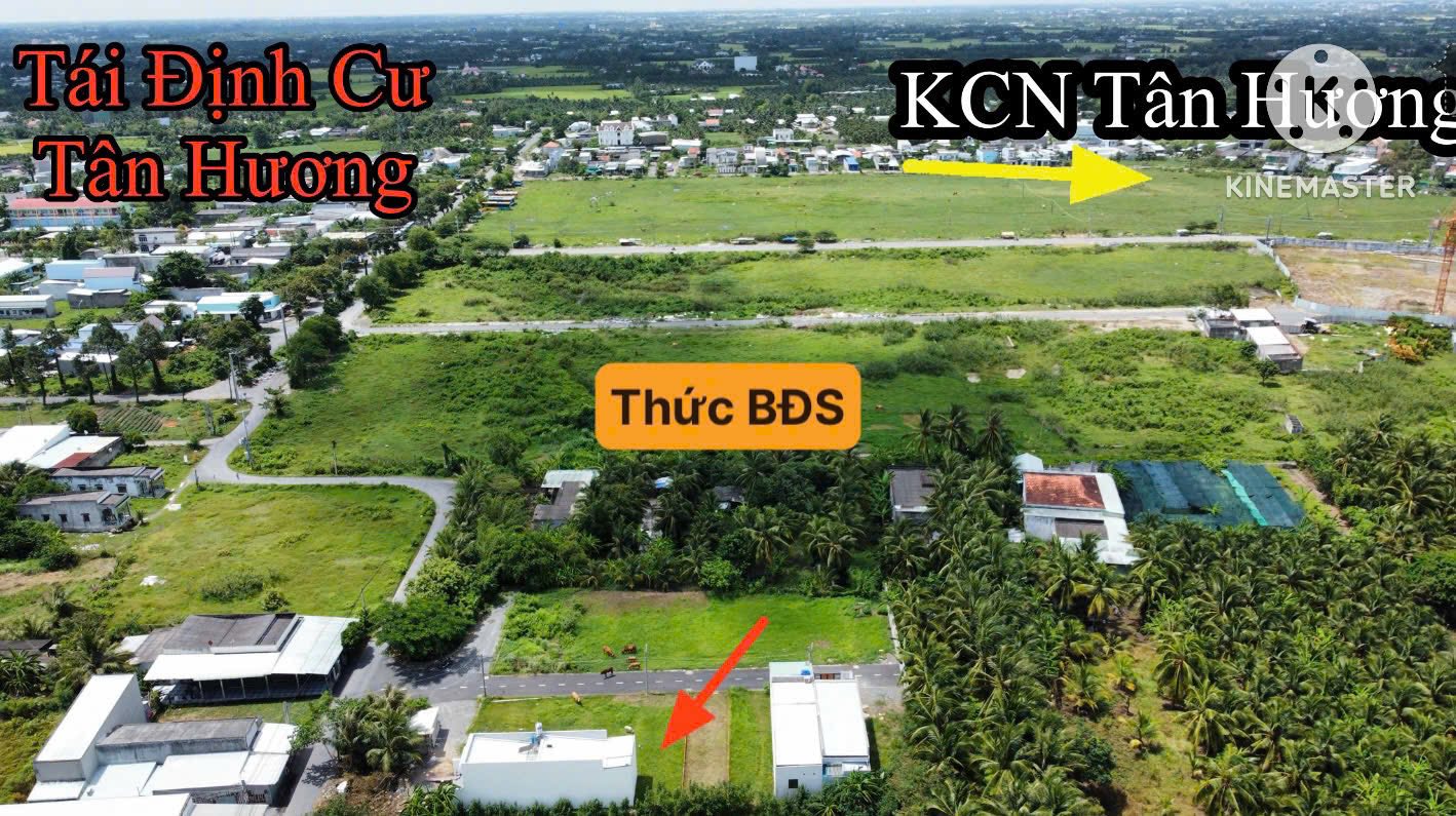 ban-dat-nen-tan-huong-full-tho-cu-100m2