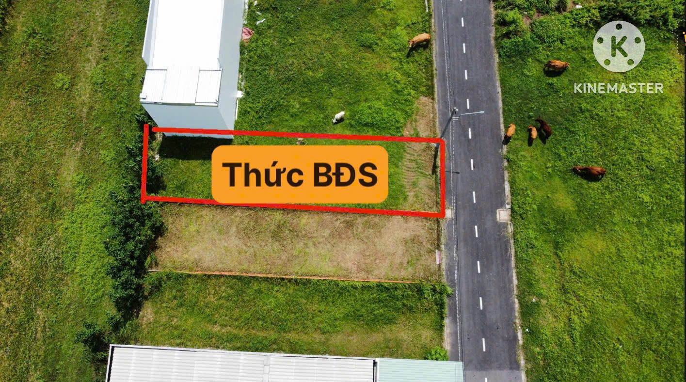 ban-dat-nen-tan-huong-full-tho-cu-100m2