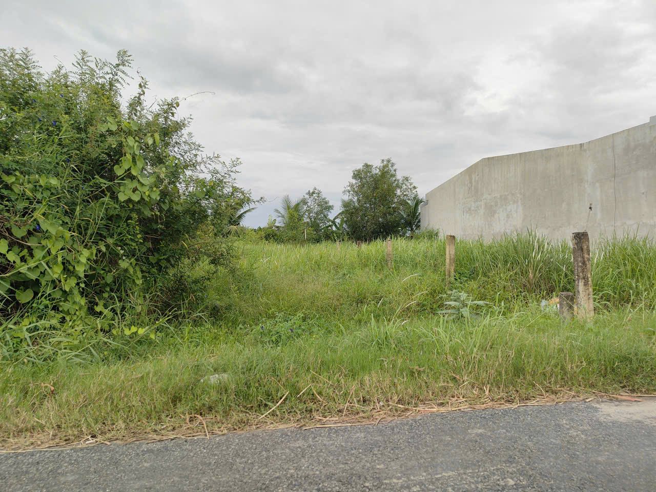 ban-dat-nen-tan-huong-tho-cu-dep-gia-tot-177m2