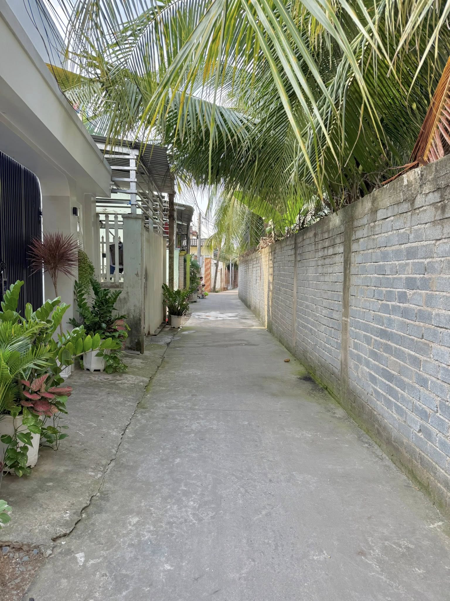 ban-dat-nen-trung-an-dep-152m2