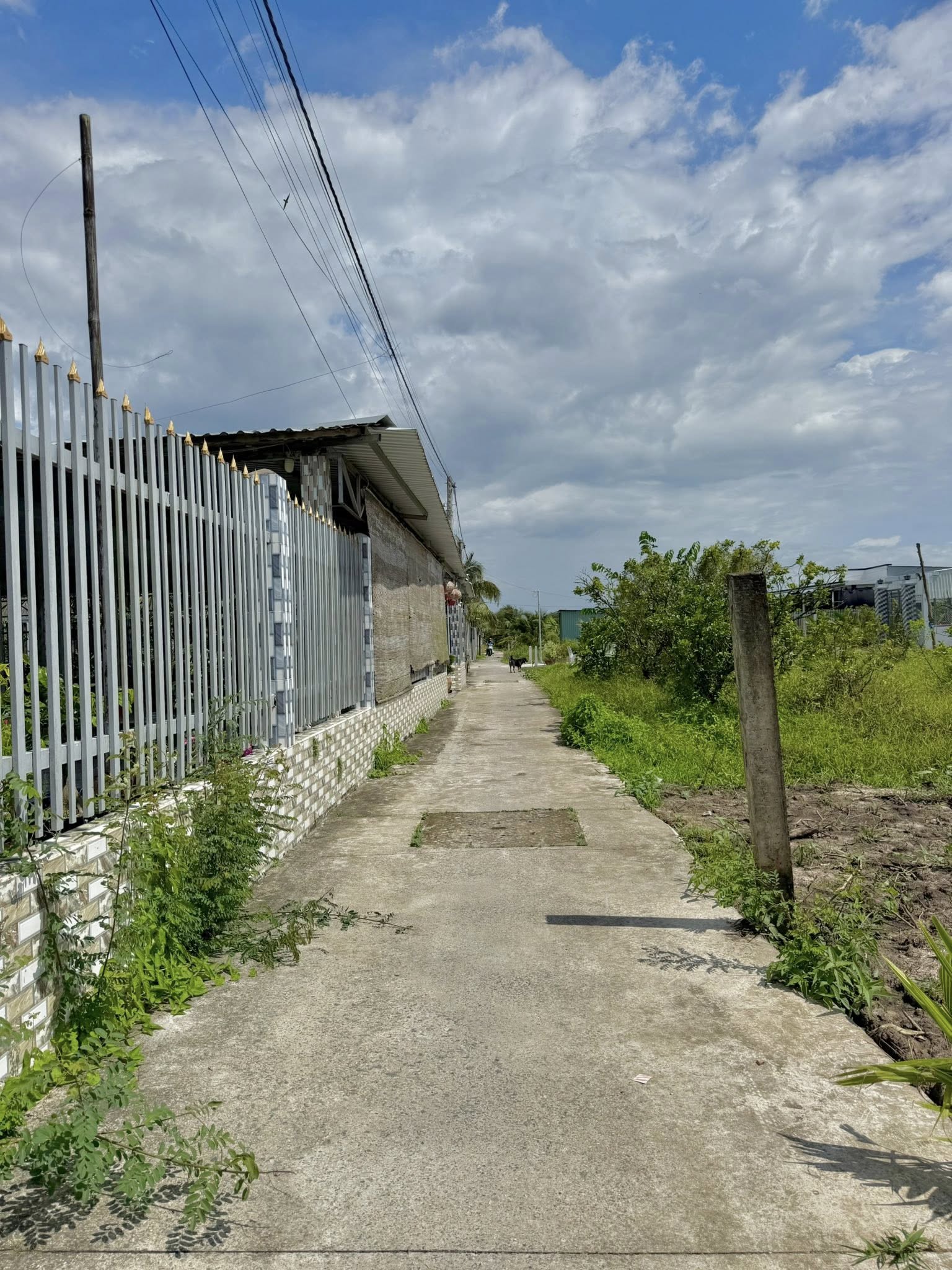 ban-dat-vuon-my-phong-dep-gia-tot-770m2
