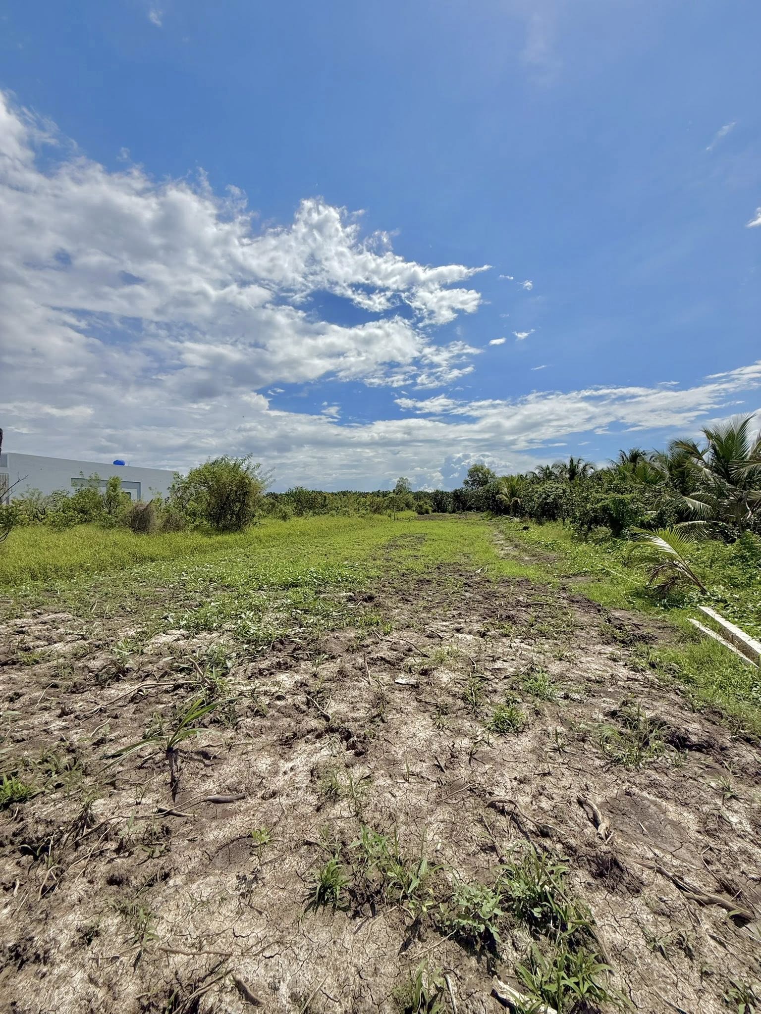 ban-dat-vuon-my-phong-dep-gia-tot-770m2