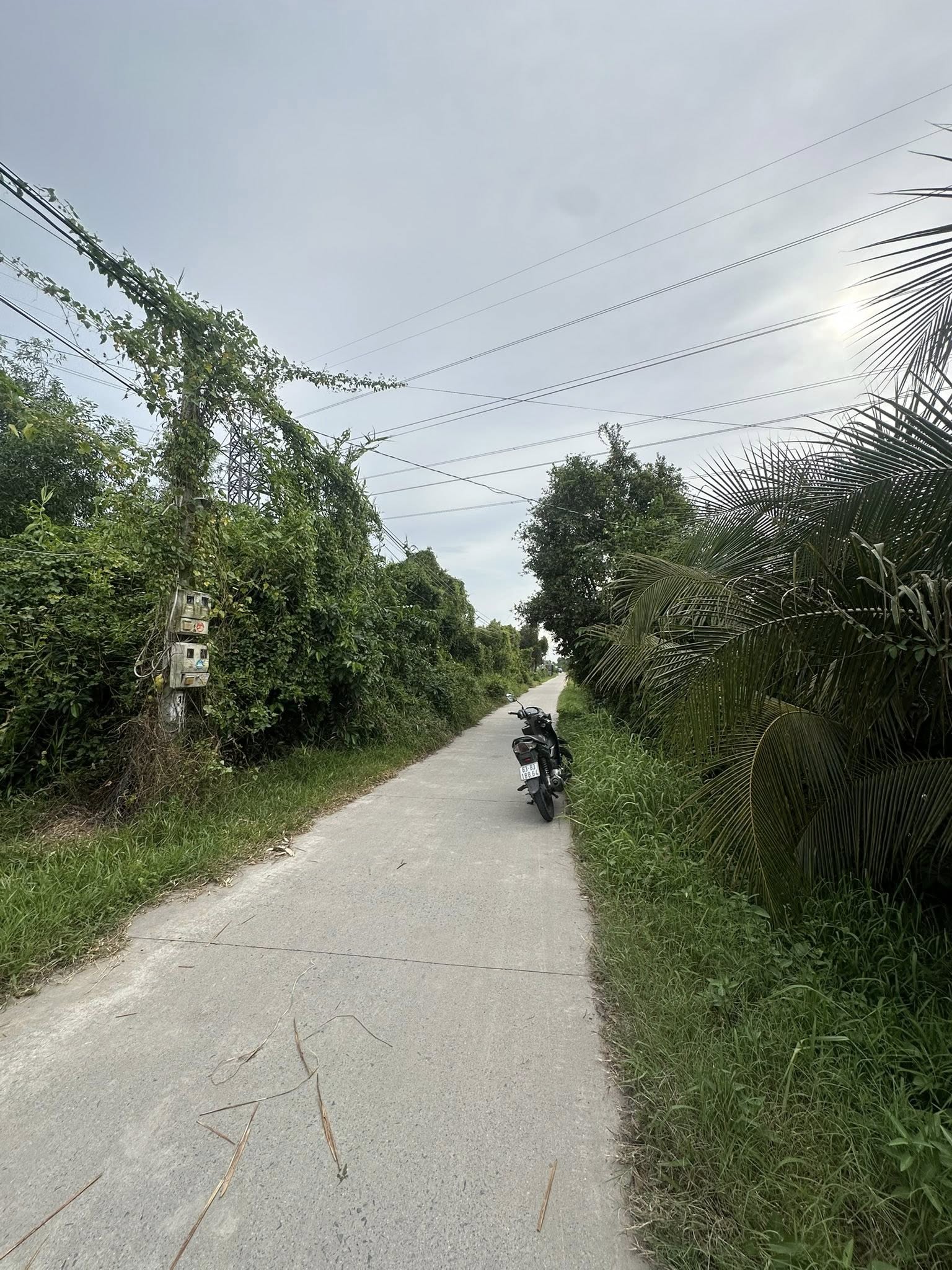 ban-dat-vuon-tan-huong-gan-kcn-long-giang-384m2