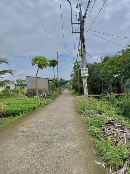 ban-dat-vuon-trung-an-rong-1000m2-thich-hop-nghi-duong