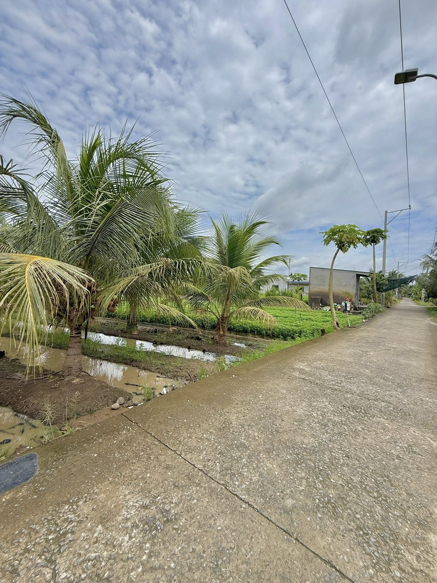 ban-dat-vuon-trung-an-rong-1000m2-thich-hop-nghi-duong