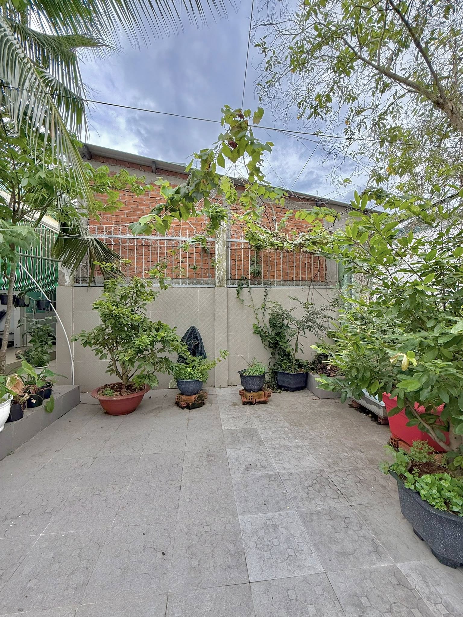 cho-thue-nha-vuon-my-phong-450m2