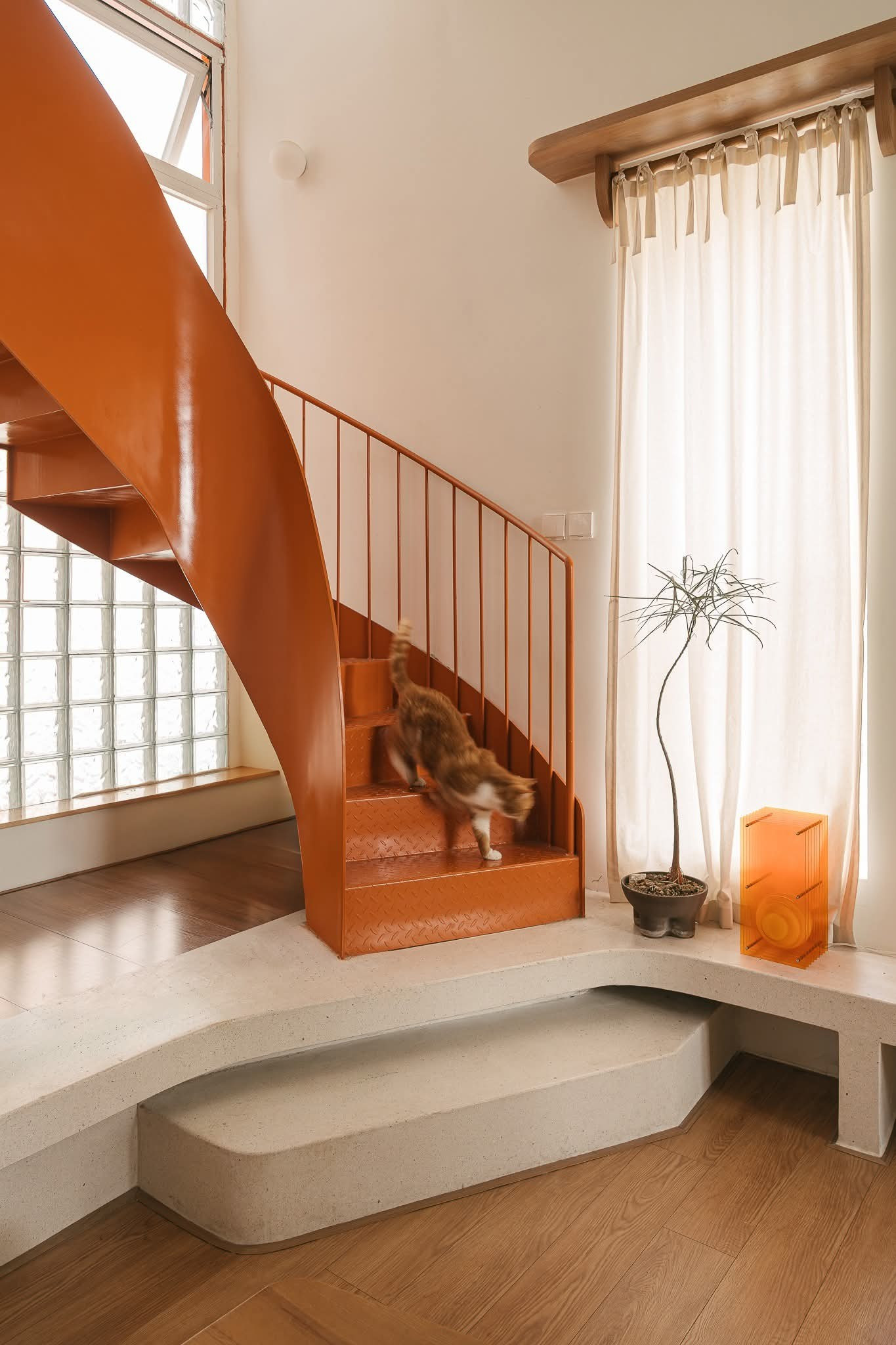 Chiêm Ngưỡng Ngôi Nhà 50m2 Tại Hà Nội: Bản Giao Hưởng Màu Sắc Giữa Lòng Đô Thị