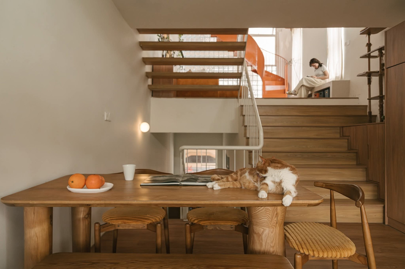 Chiêm Ngưỡng Ngôi Nhà 50m2 Tại Hà Nội: Bản Giao Hưởng Màu Sắc Giữa Lòng Đô Thị